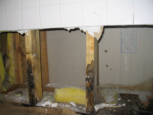 mold inspection Charlotte NC